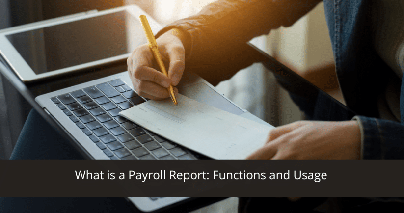 Payroll Report: Functions and Usage