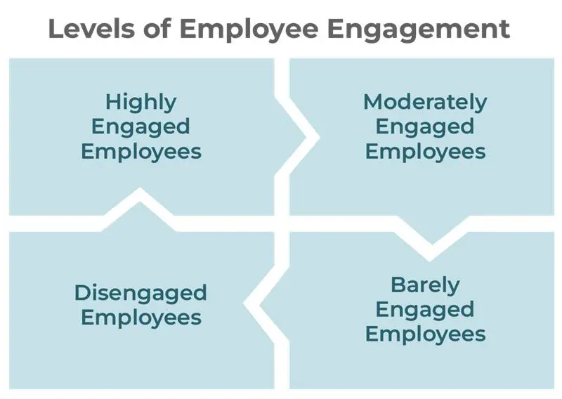 Levels of employee engagement