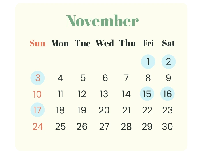 Long Weekend In November 2024