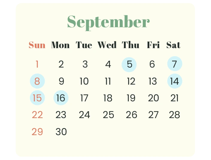 Long Weekend In September 2024 India