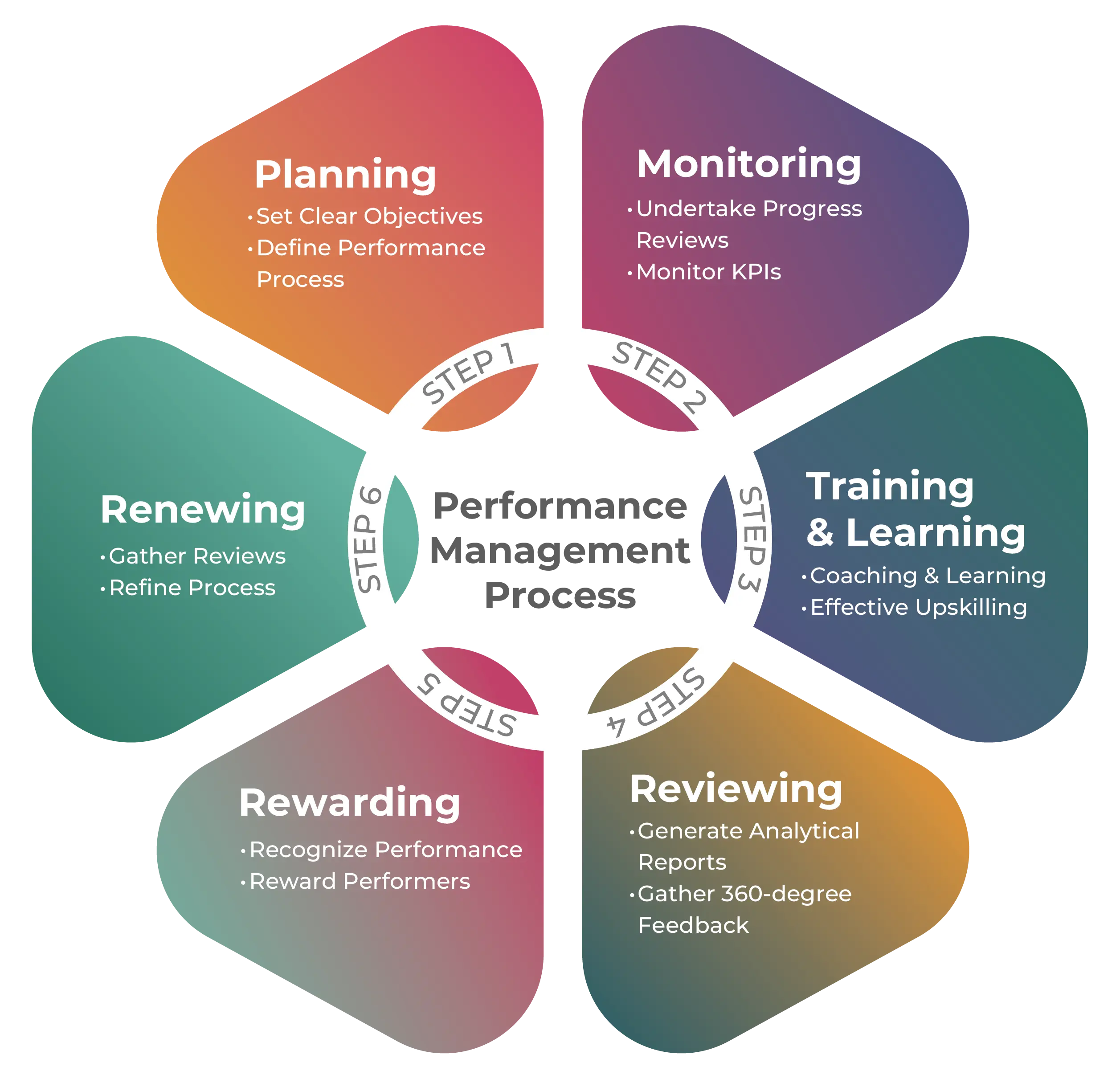 Performance management process