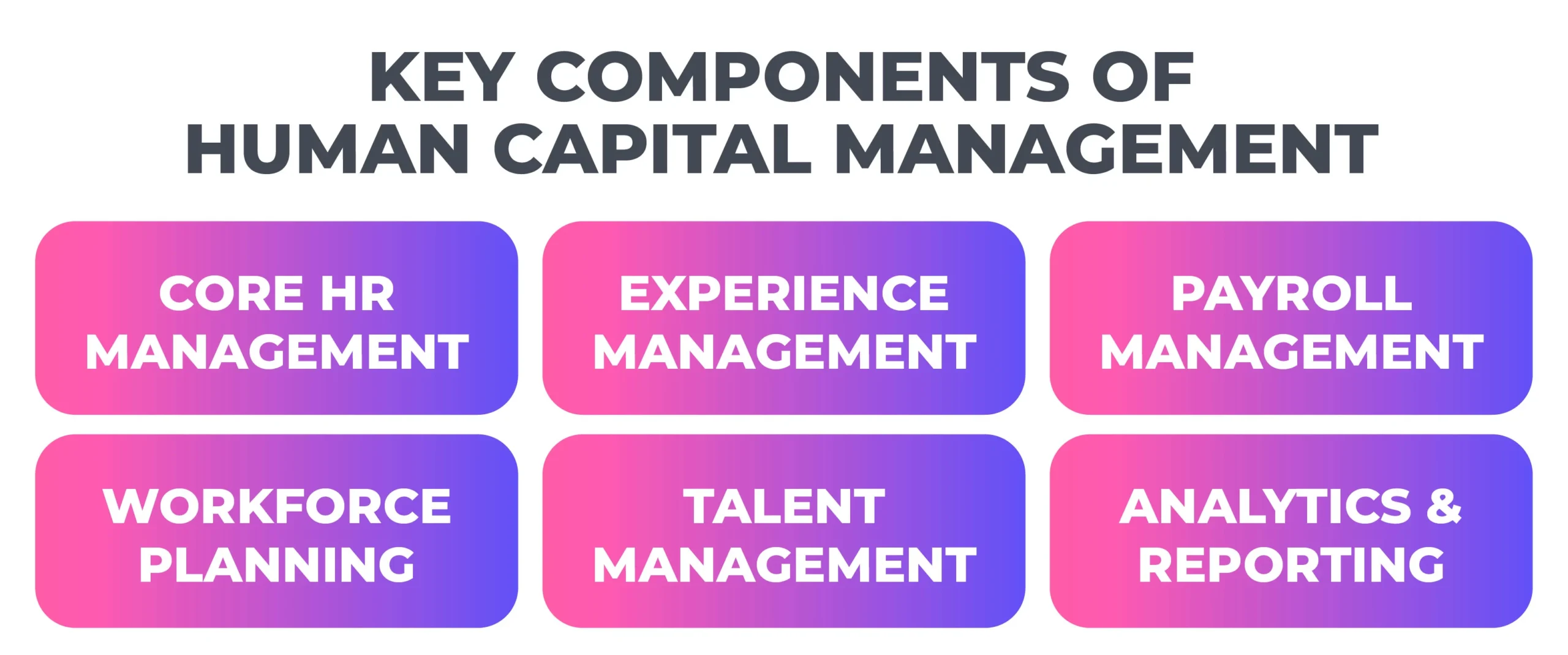 Key components of human capital management