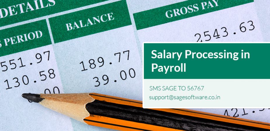 Salary Processing in Pocket HCM