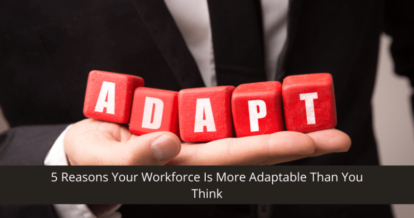 Reasons Your Workforce Is More Adaptable