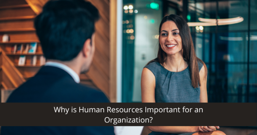 Why is Human Resources Important for an Organization